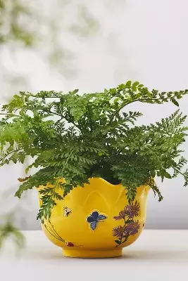 Faye Planter