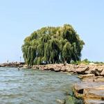 Edgewater Park