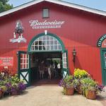 Grant's Farm