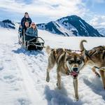 Alaska Glacier Helicopter and Dogsled Tour