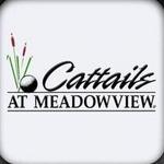 Cattails at MeadowView Golf Course