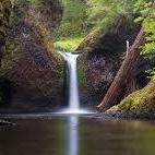 Punch Bowl Falls