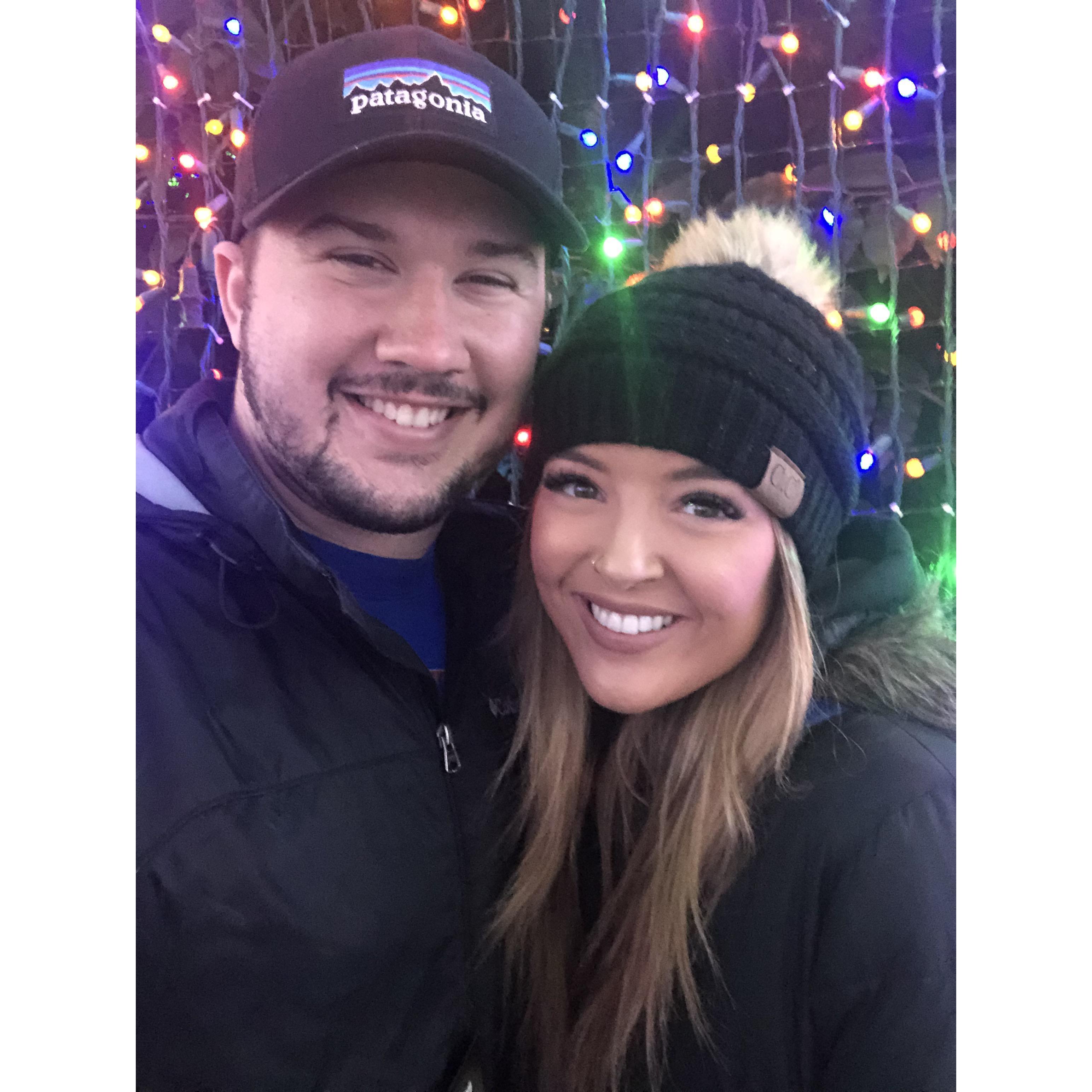 Zoo Lights 2018