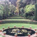 Filoli Garden