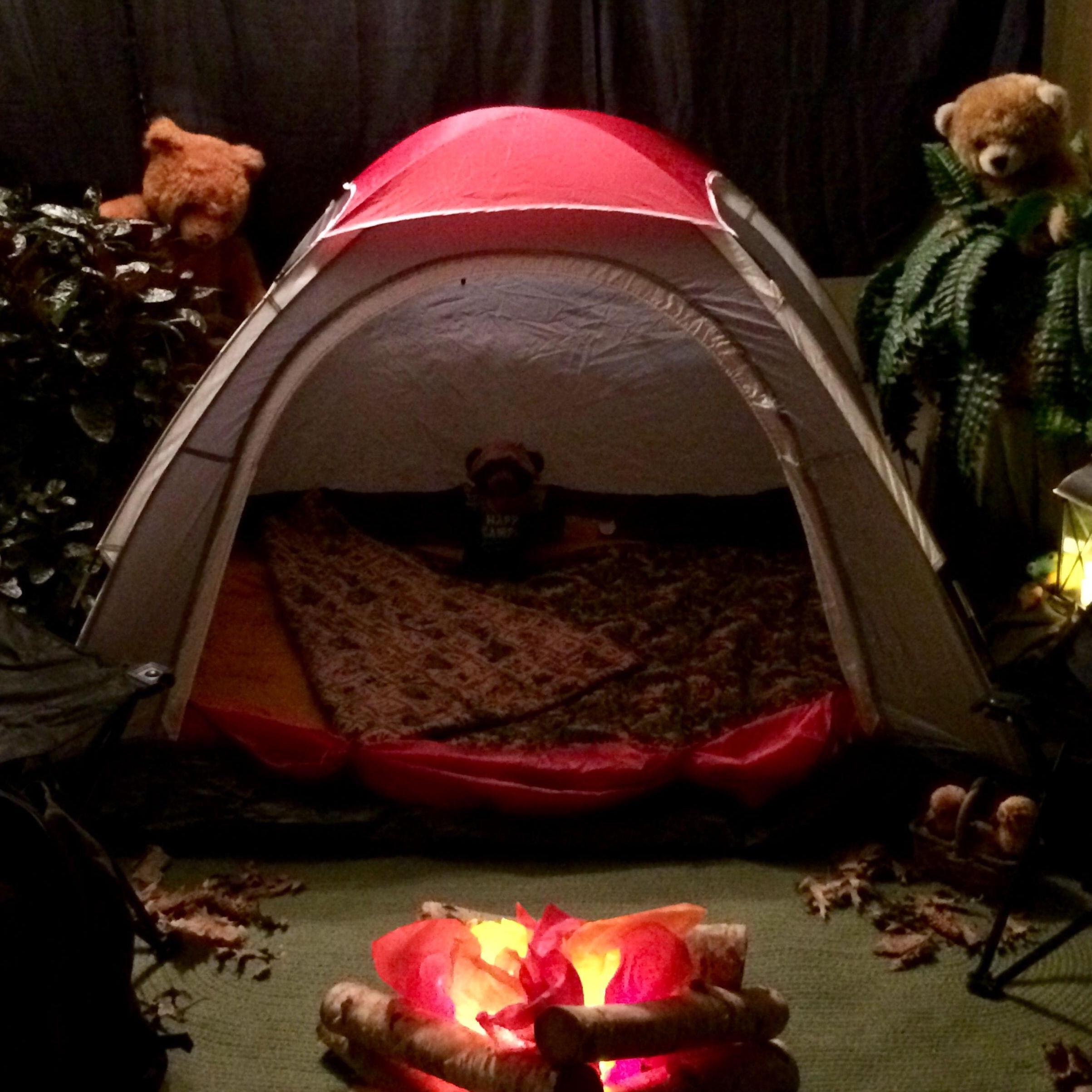 Alicia loves Camping so Mark brought camp to her... in our Living Room!