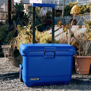 Pro 55-Quart Hard Cooler