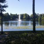 Lake Lily Park