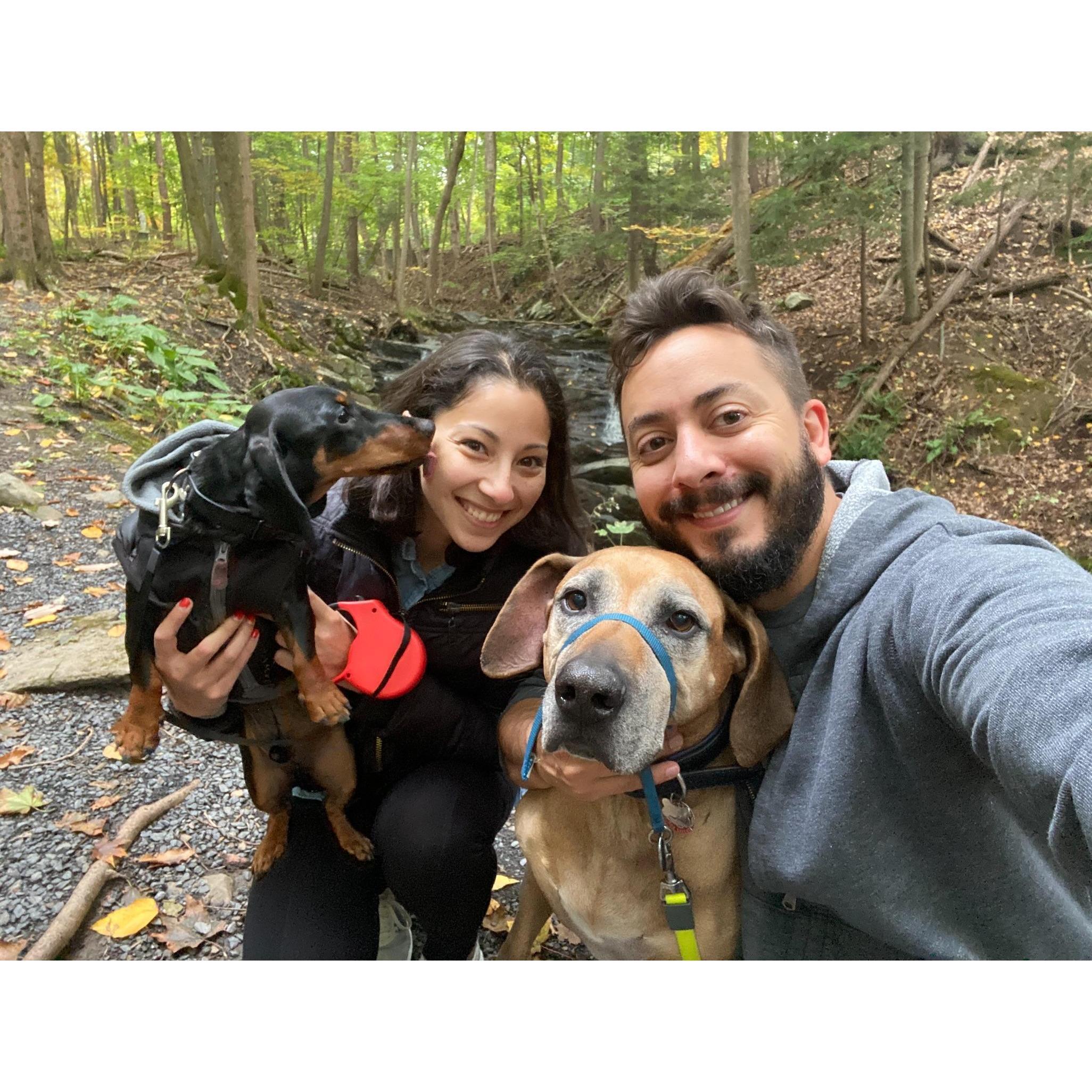 Our dogs are our loves