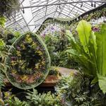 Marie Selby Botanical Gardens