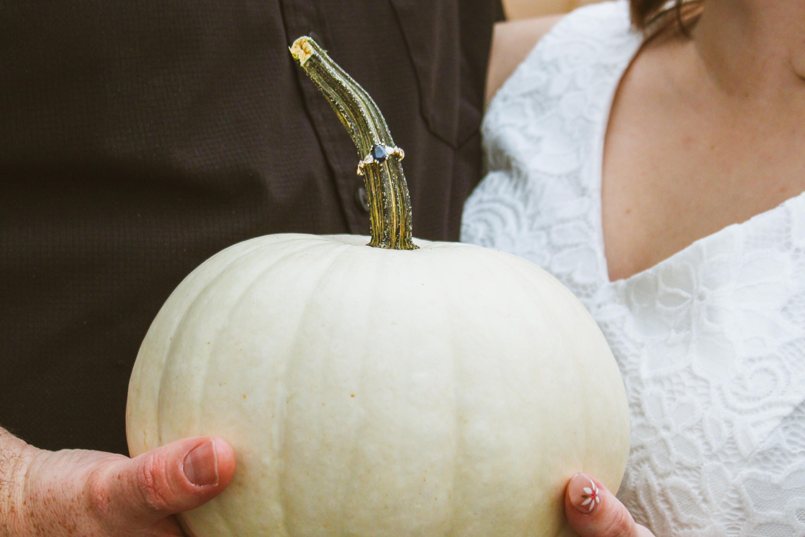 The Wedding Website of Hannah Erdman and Domenic Caruso