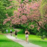Washington Park Arboretum