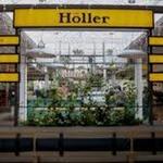 The Holler