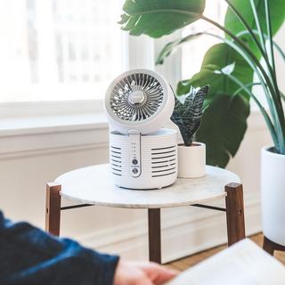 Mini True HEPA Air Purifier with Germicidal UV Light