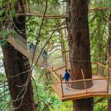 Redwood National and State Parks