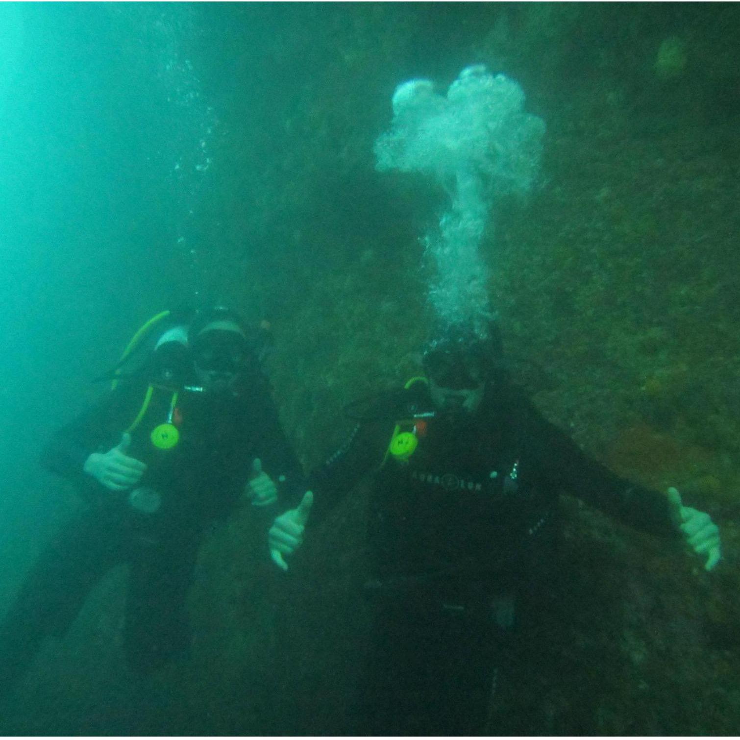 Diving in New Zealand