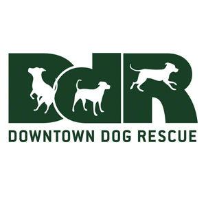 Donate to Downtown Dog Rescue