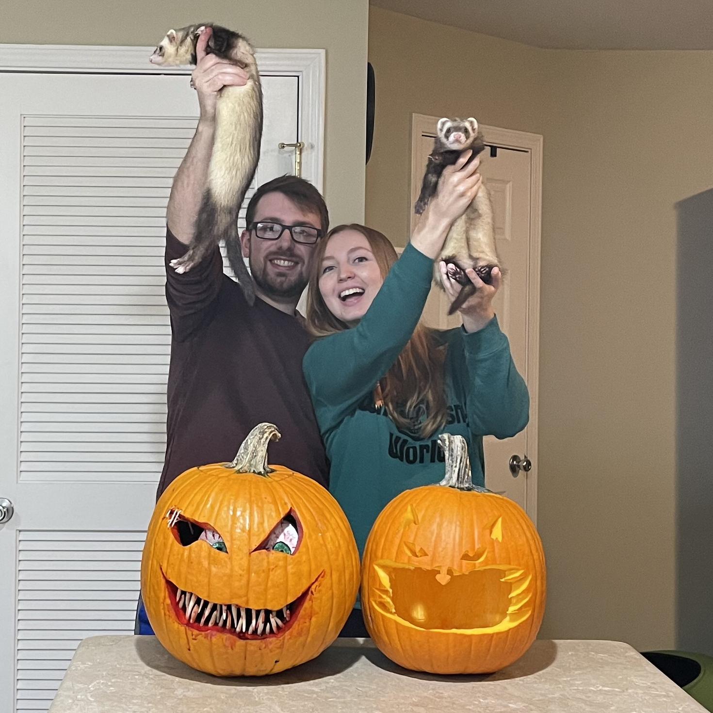 Pumpkins and ferrets!