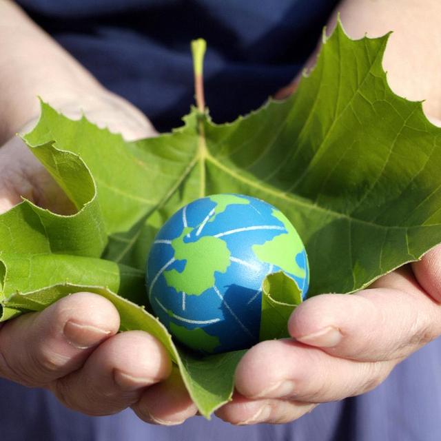Environmental Conservation Charity