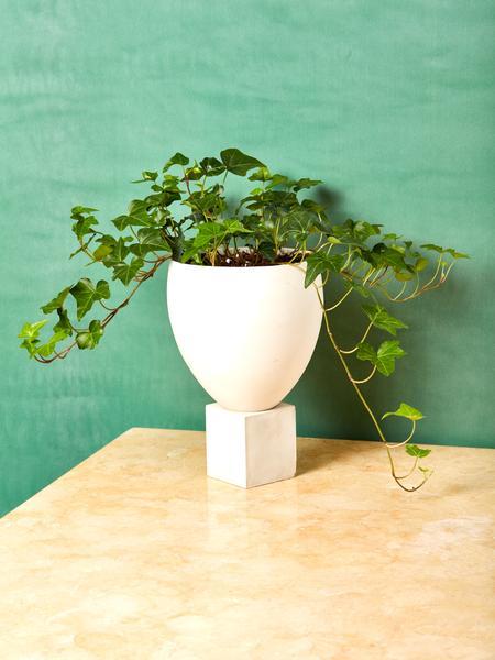 Eleva Planter