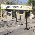 Greenville Zoo