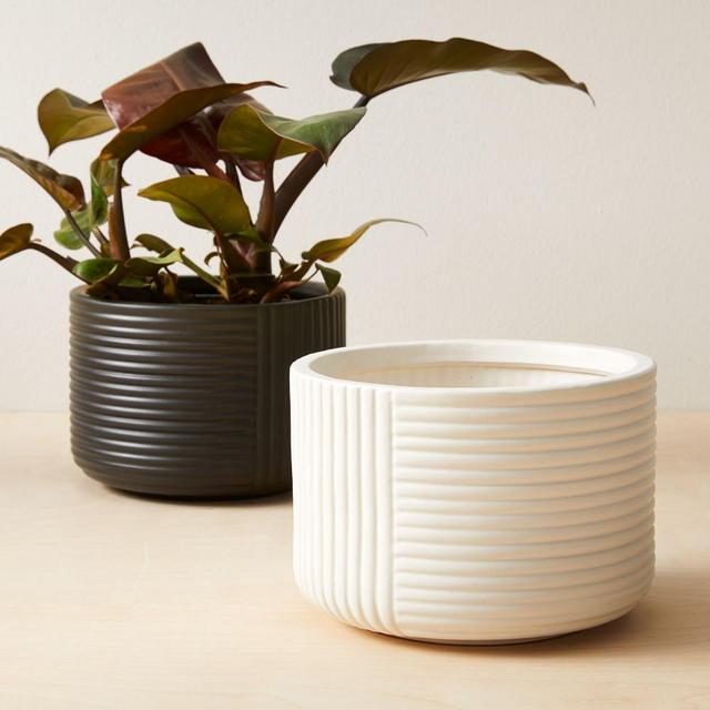 Cecilia Indoor/Outdoor Tabletop Planters, White&Black, Set of 2
