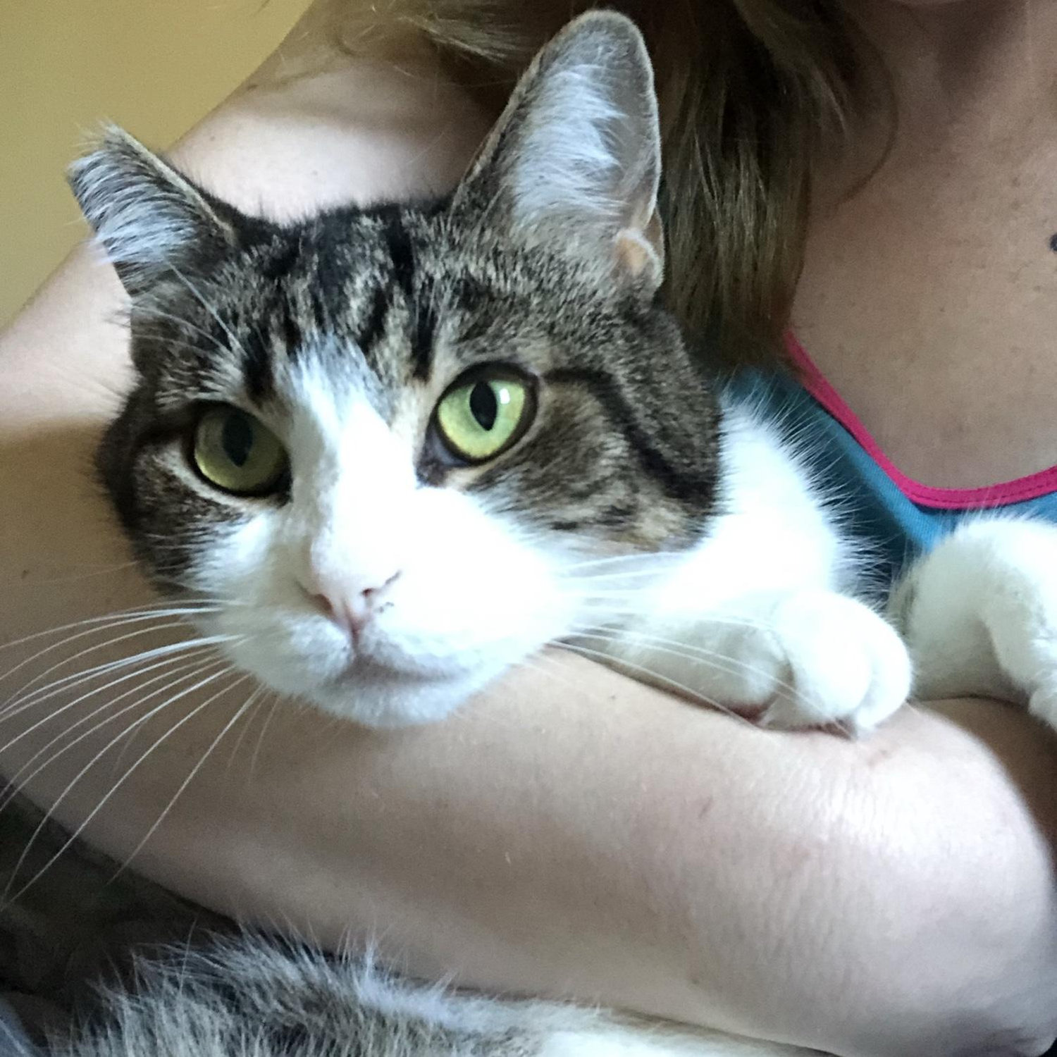 Our baby, McGonagall (Maggie)