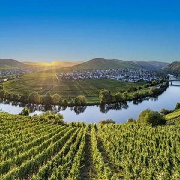 Our Honeymoon to Germany