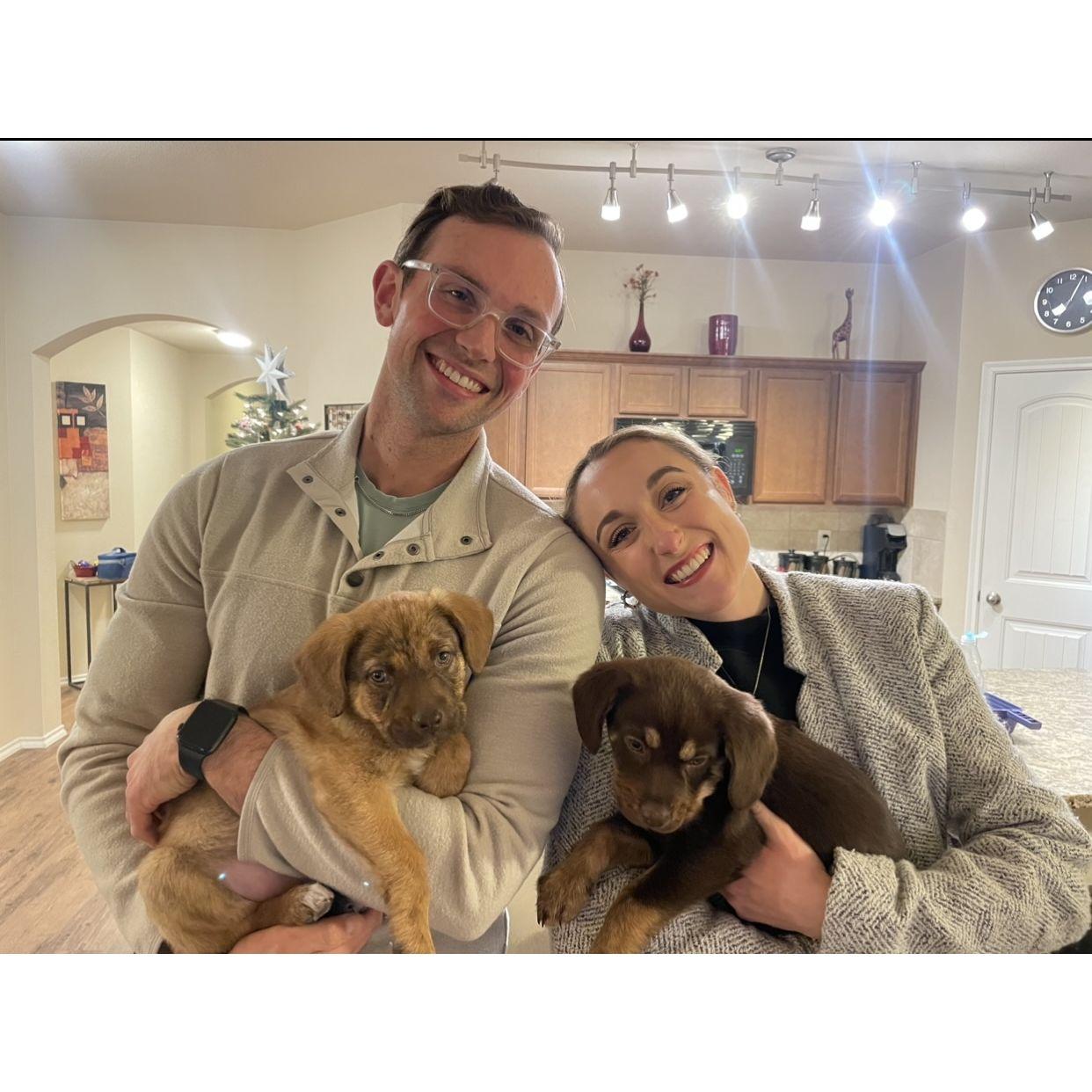 Texas - December 2023 - Christmas with puppies