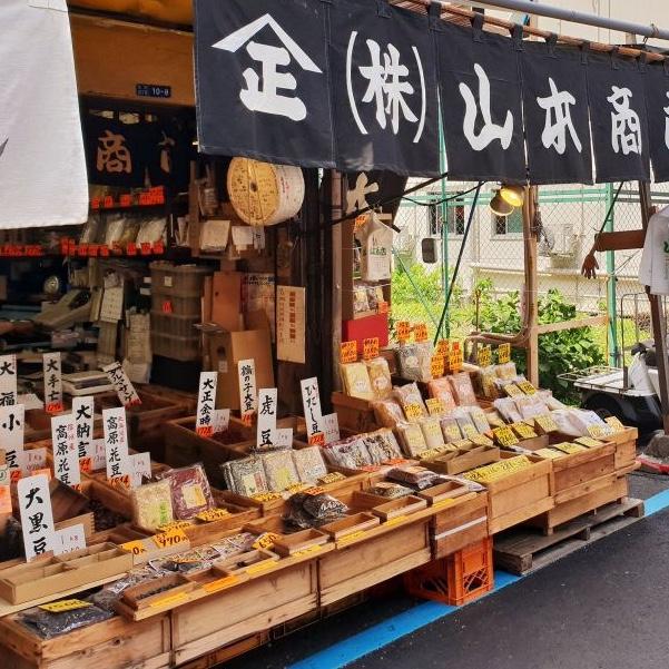 Famous Fish Market Tour, Tokyo