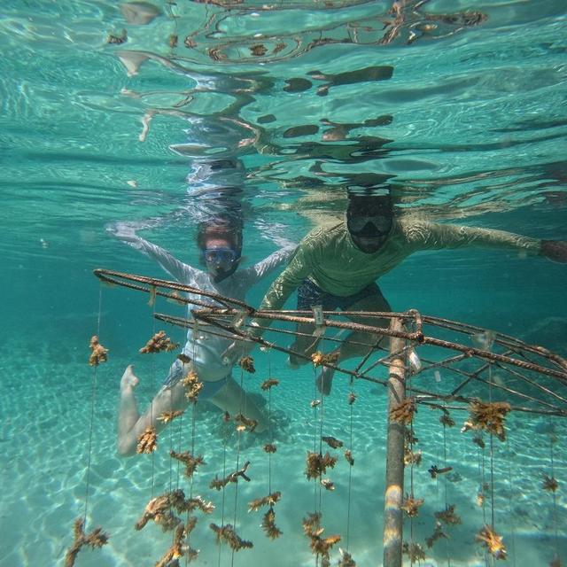 Underwater camera