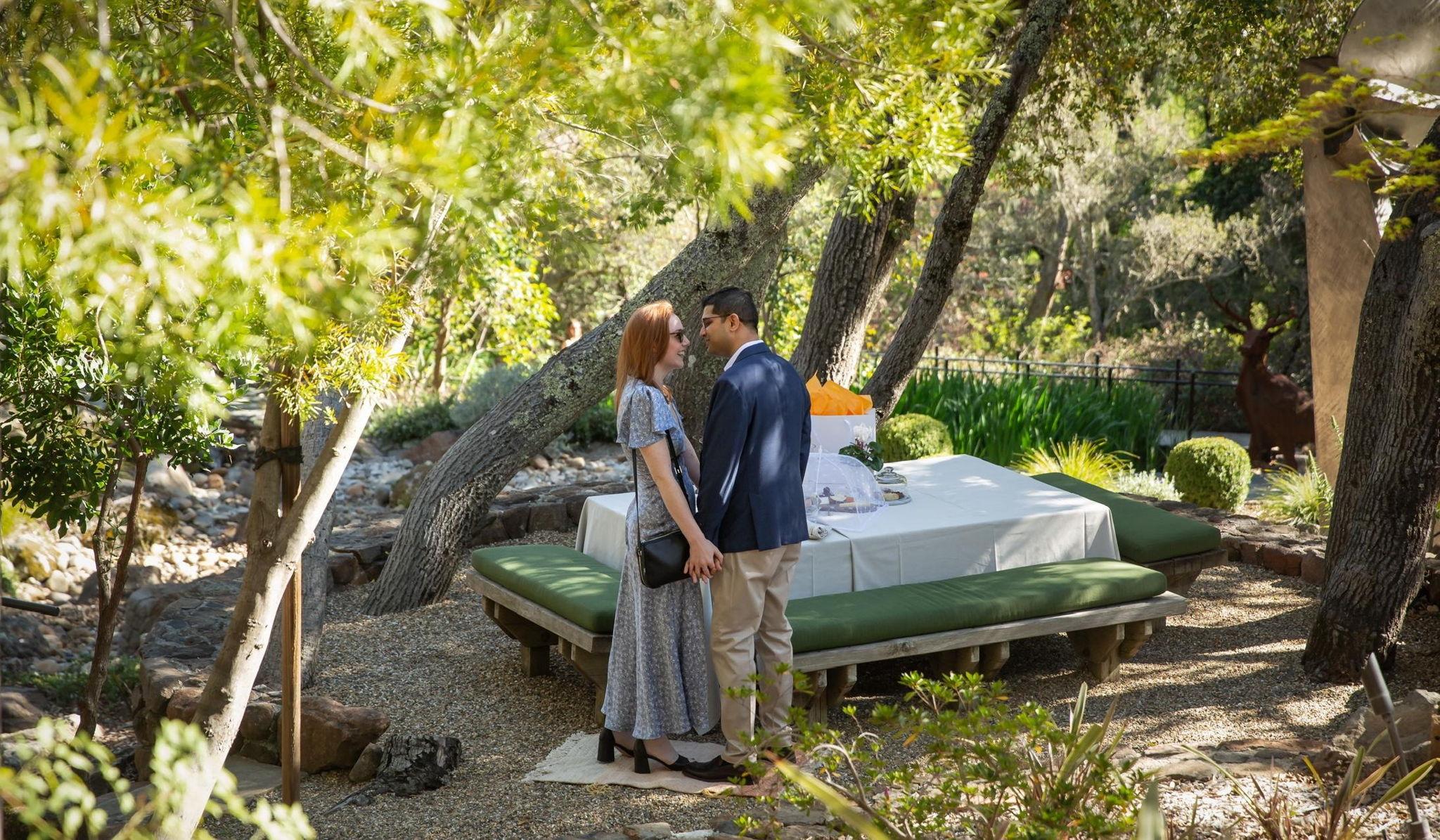 The Wedding Website of Lisa Schneider and Nihir Waghela