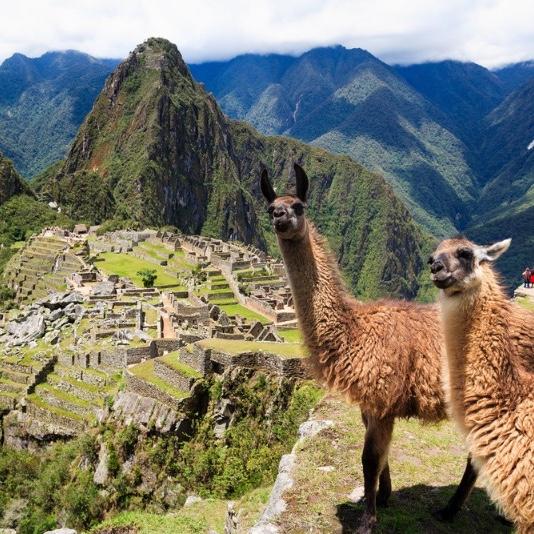 Honeymoon: Visit to Machu Picchu