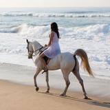 Ballito Horse Trails