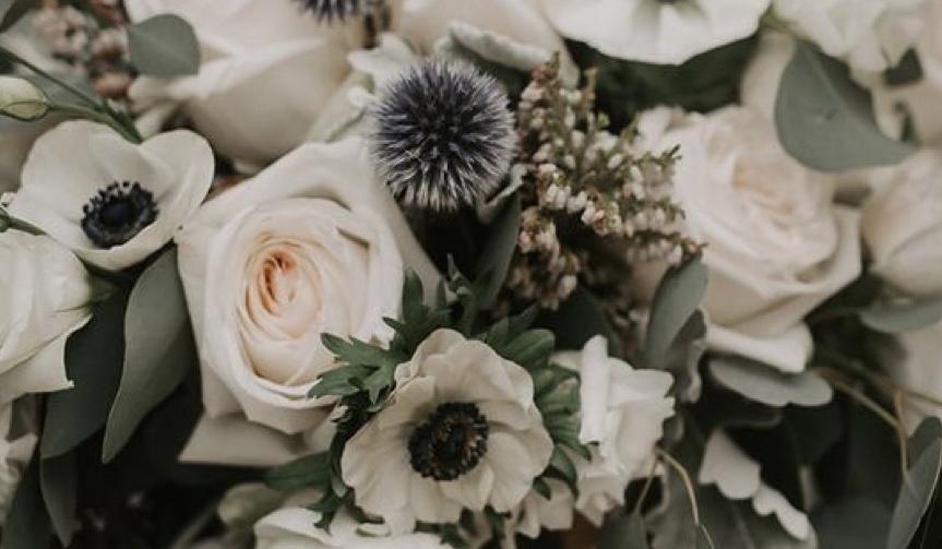 The Wedding Website of Amber McCabe and Tyler Hamilton