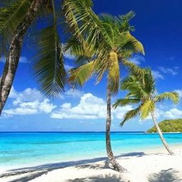 Honeymoon Cruise