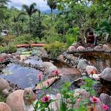 Vallarta Botanical Gardens