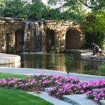 The Dallas Arboretum and Botanical Garden