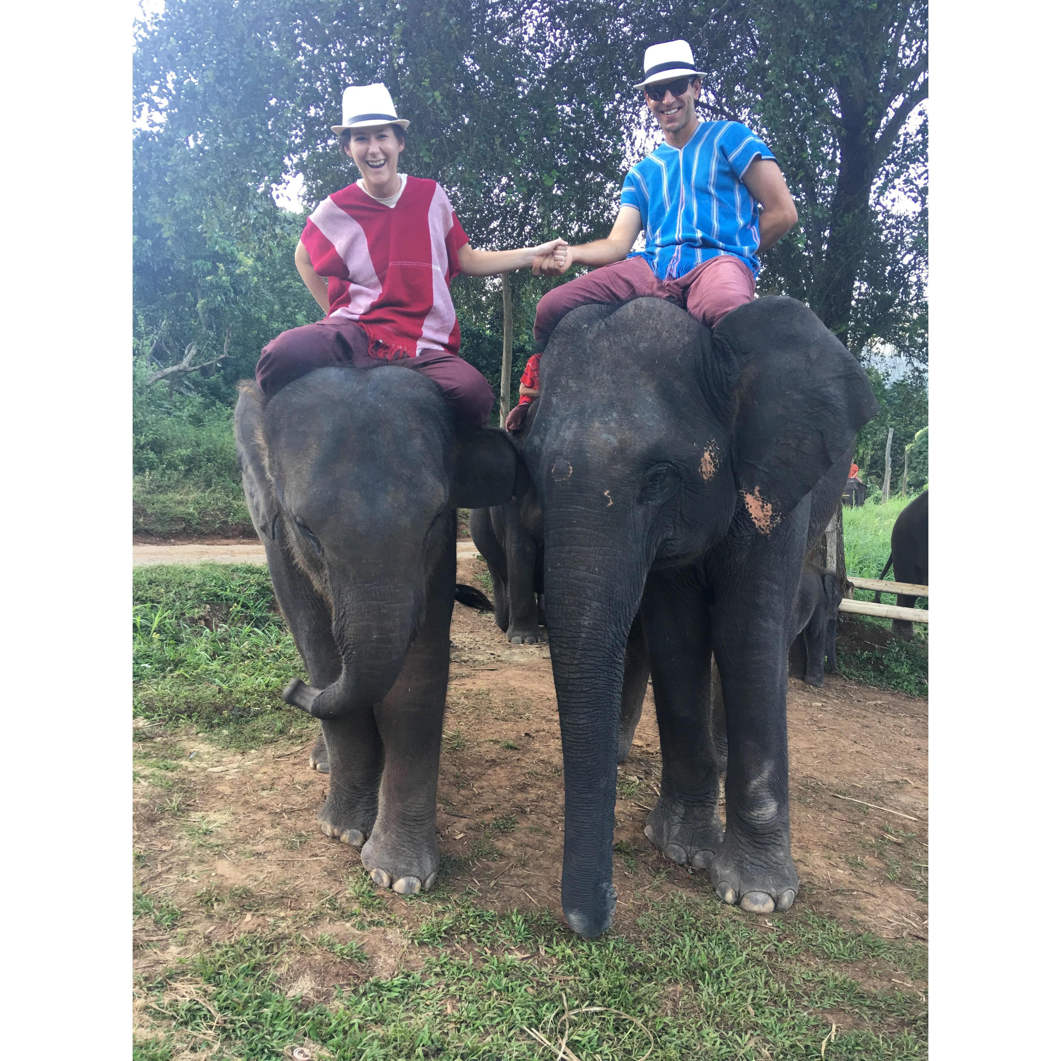 Holding hands riding elephants in Chaing Mai