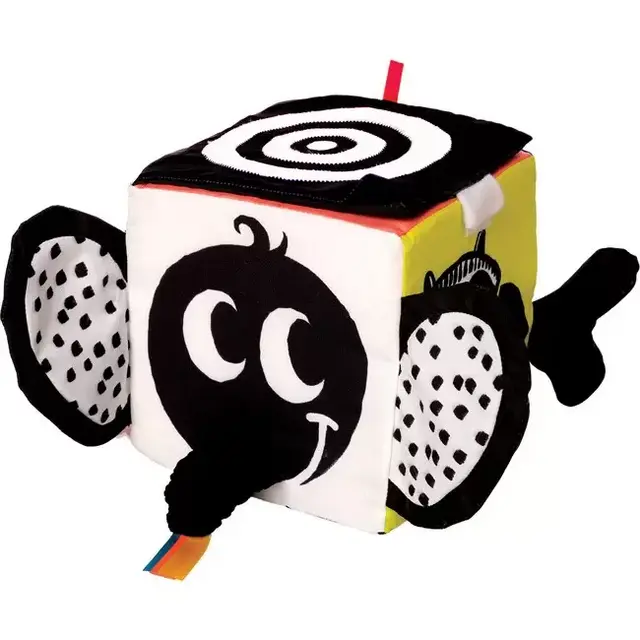 Wimmer Ferguson Learning Cube
