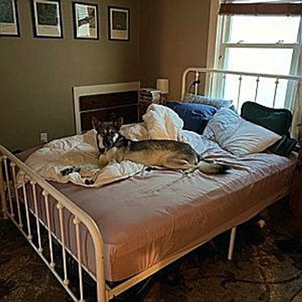 The "Sammy is Too Big For Our Bed" Fund