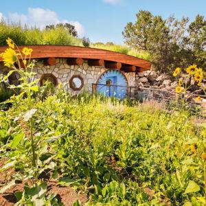 One night at the Blue Hobbit home