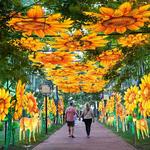 Philadelphia Chinese Lantern Festival