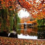 Boston Common & Public Gardens