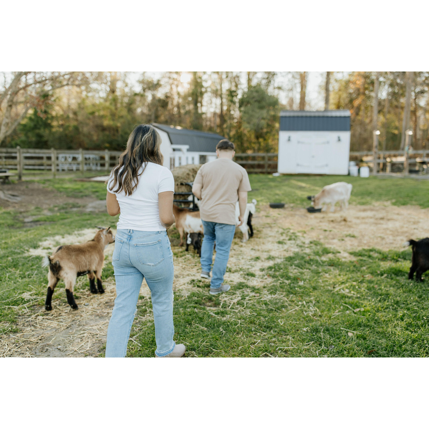 Engagement photo-shoot with our favorite goats from the venue