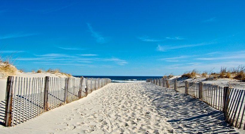 The Wedding Website of Jordan Schiff and Alexandria Halperin