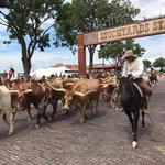 Fort Worth Stockyards