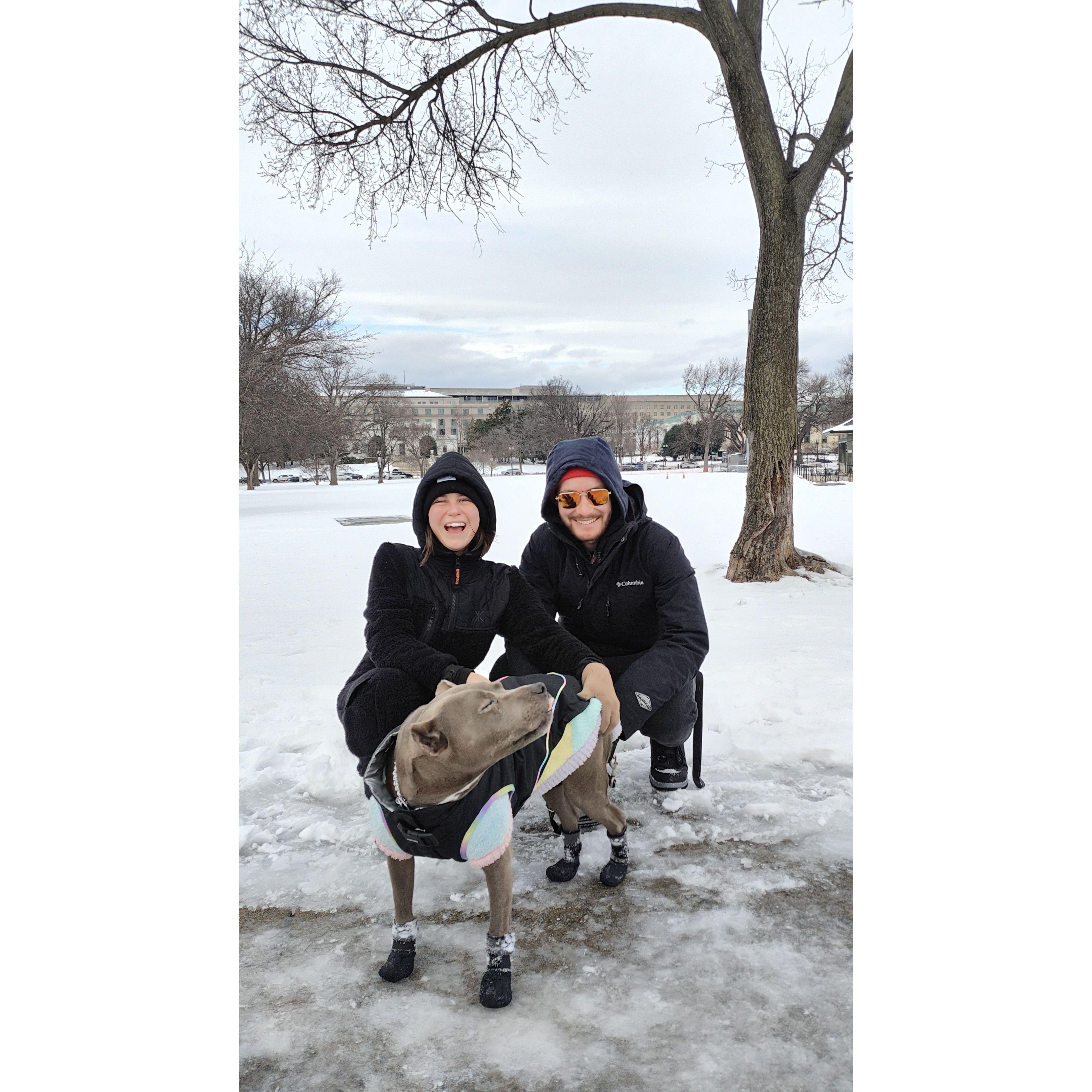 The cold won't scare us! Featuring Harper eating a snowflake