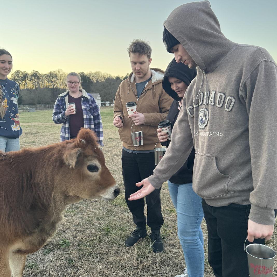 Feeding cows with Daniel and Lexie at Good Place Farm