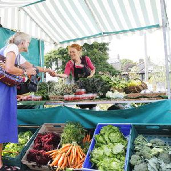 Fresh vegetables from Fox Farm in Newmill