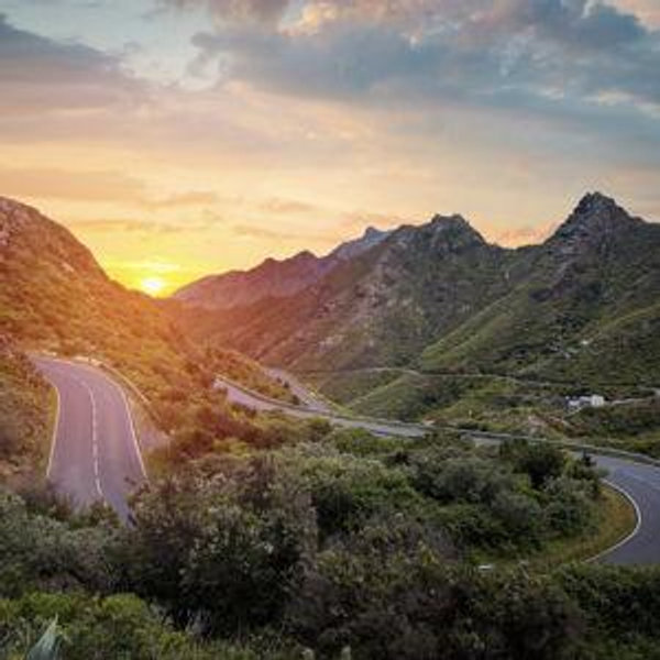 Guided Tour in Tenerife